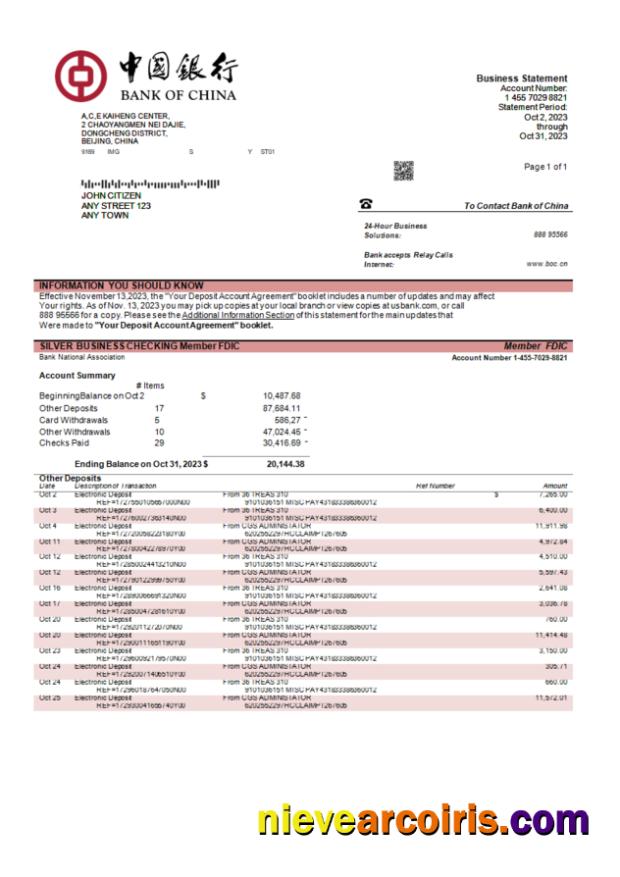 Realistic Bank Of China Enterprise Statement Word And PDF Template