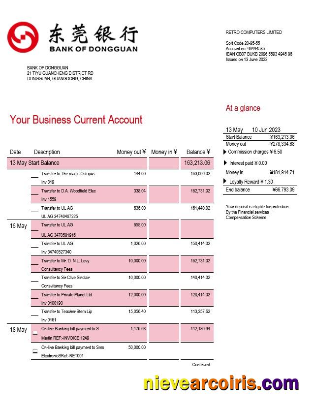 Editable Bank Of Dongguan Organization Account Statement Word And PDF Template