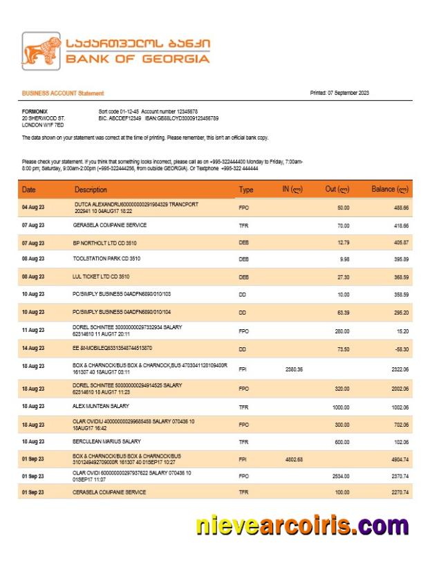 Bank Of Georgia Business Checking Account Statement Word And PDF Templat Sample