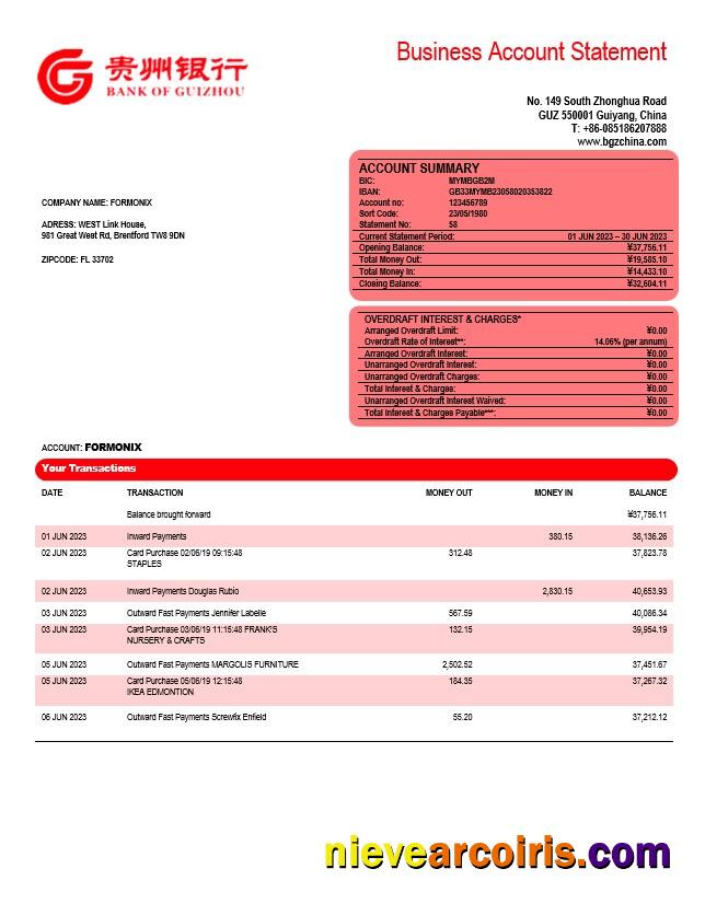 Premium Bank Of Guizhou Business Checking Account Statement Word And PDF Template