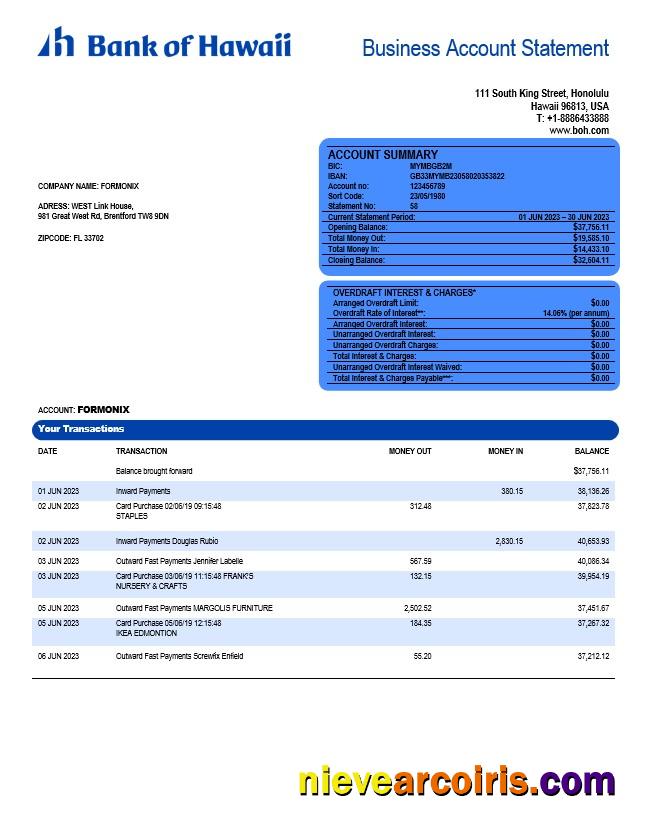 Professional Bank Of Hawaii Firm Account Statement Word And PDF Template