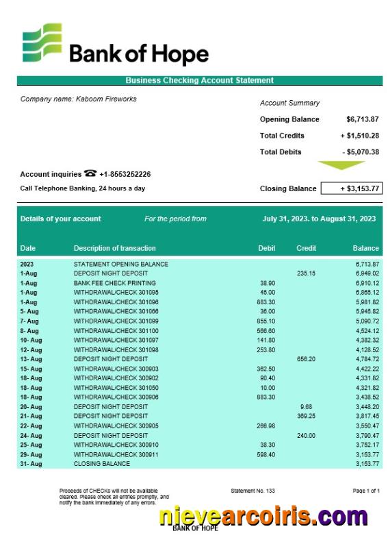 Editable Bank Of Hope Company Checking Account Statement Word And PDF Template