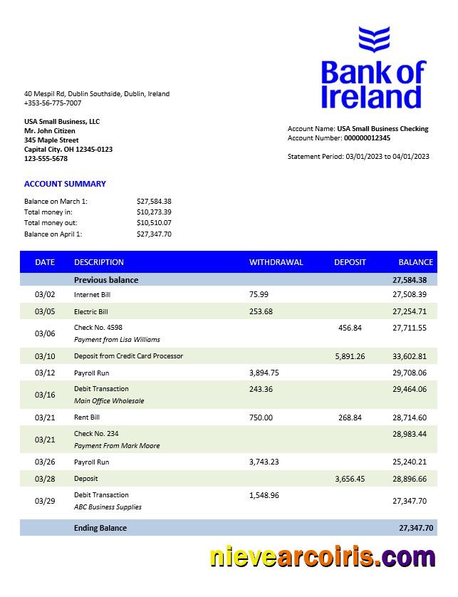 Professional Bank Of Ireland Enterprise Statement Word And PDF Template