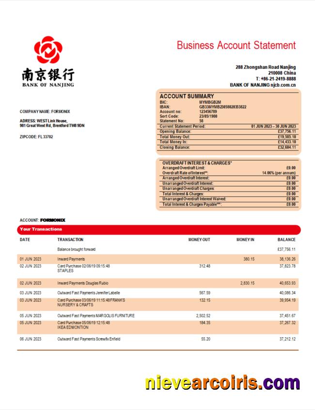 Premium Bank Of Nanjing Corporate Checking Account Statement Word And PDF Template