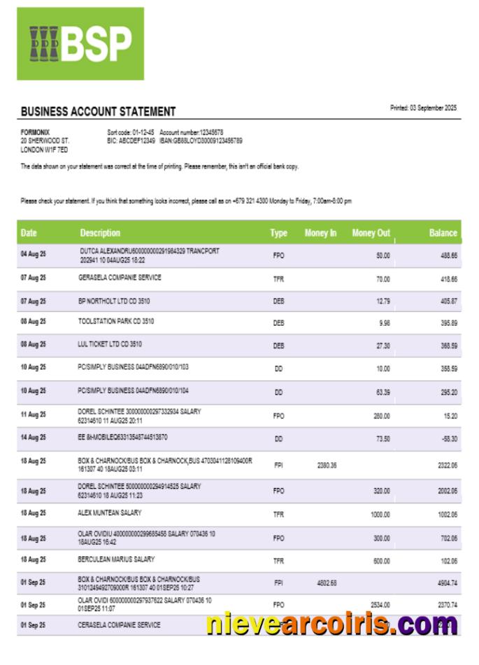 Bank Of South Pacific Business Bank Statement Word And PDF Format Photolook