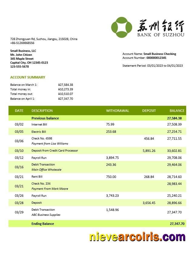 Professional Bank Of Suzhou Firm Account Statement Word And PDF Template