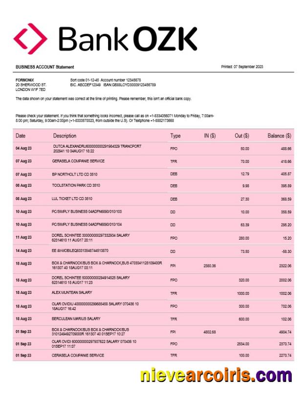 Professional Bank Of The Ozarks Firm Account Statement Word And PDF Template