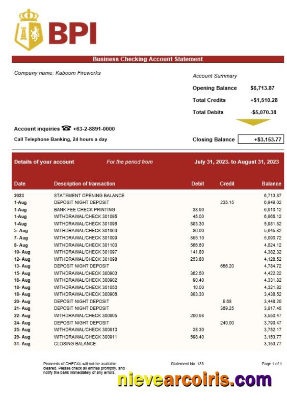 Professional Bank Of The Philippine Islands Business Statement Word And PDF Template