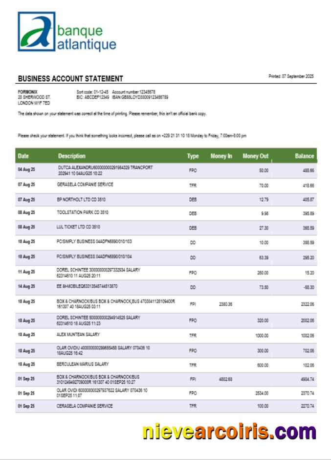 Banque Atlantique Business Firm Statement Word And PDF Format Template