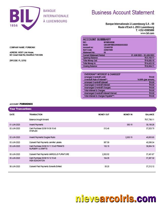 Editable Banque Internationale A Luxembourg Organization Checking Account Statement Word And PDF Template