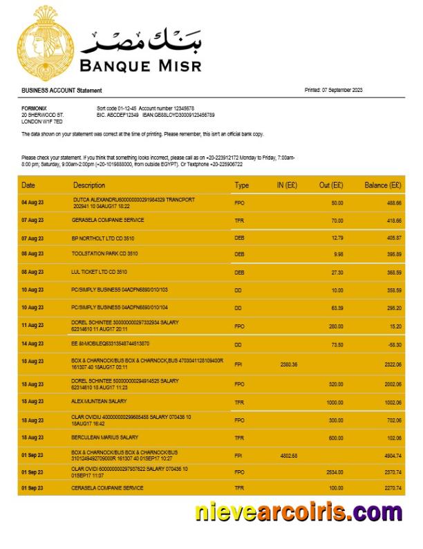 Professional Banque Misr Organization Checking Account Statement Word And PDF Template