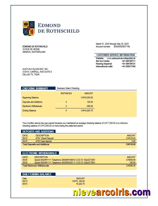 Professional Banque Privee Edmond De Rothschild Organization Checking Account Statement Word And PDF Template