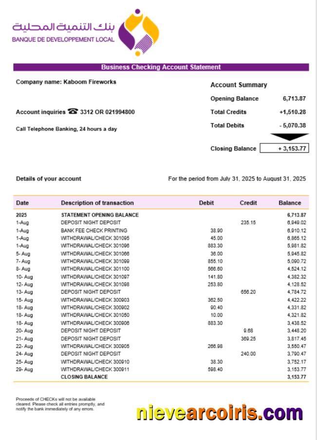 Premium Banque De Developement Local (BDL) Business Statement Word And PDF Template