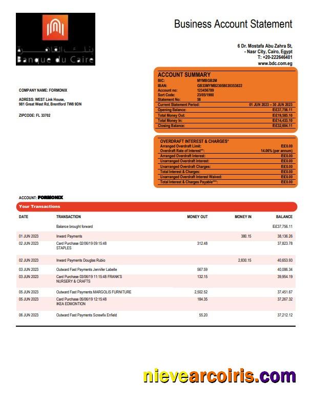 Premium Banque Du Caire Company Account Statement Word And PDF Template