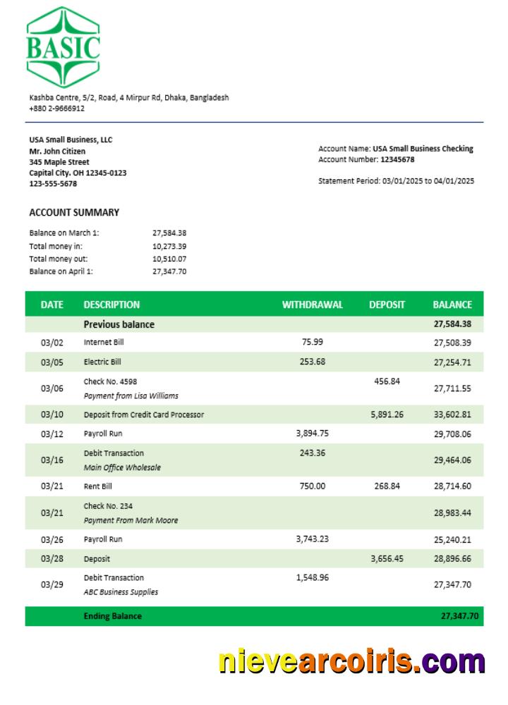 Editable Basic Bank Enterprise Account Statement Word And PDF Template