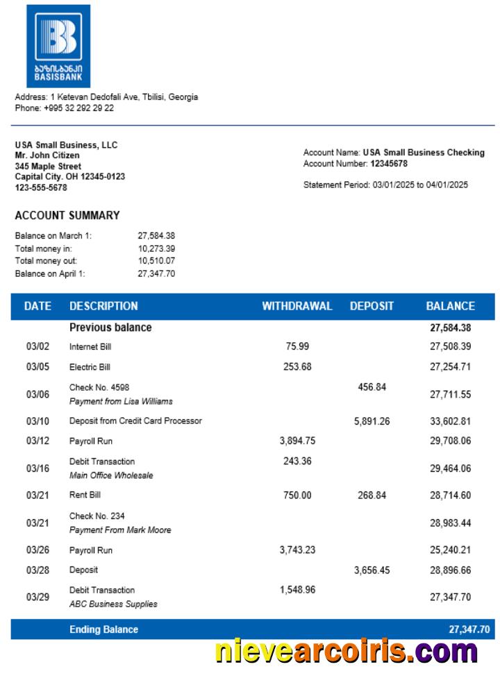Basis Bank Company Statement Word And PDF Format Template