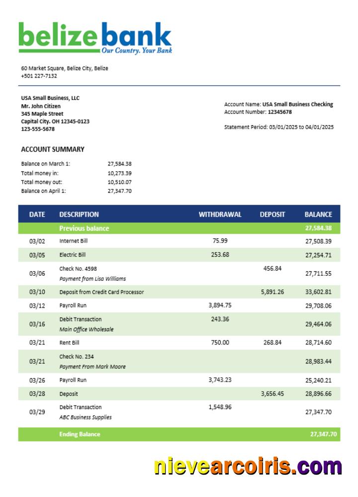 Editable Belizean Bank Company Checking Account Statement Word And PDF Template