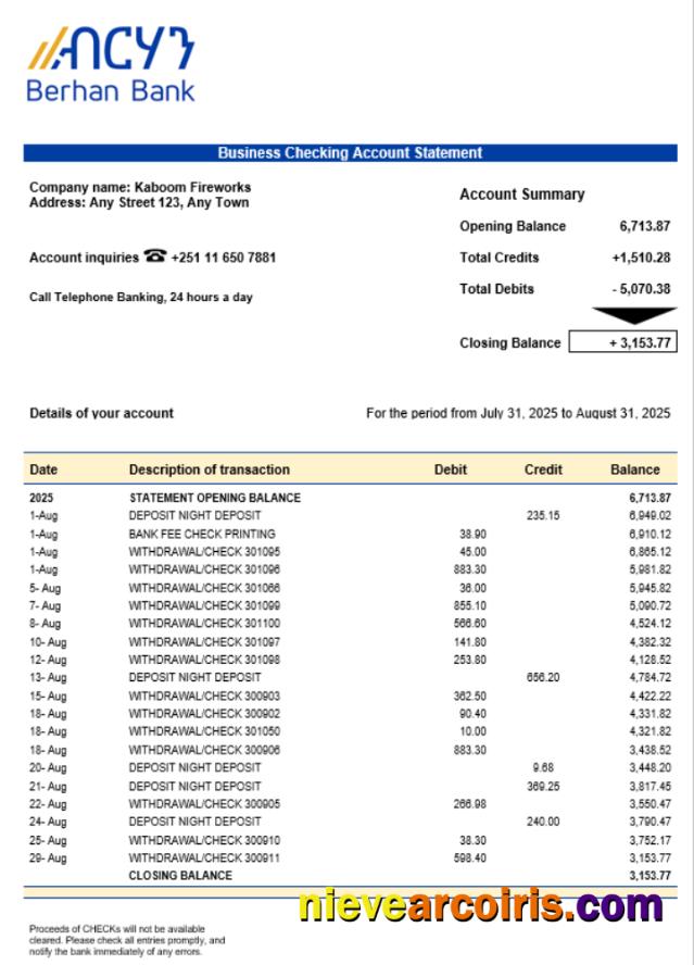Berhan Bank Business Firm Account Statement Word Snd PDF Format Sample