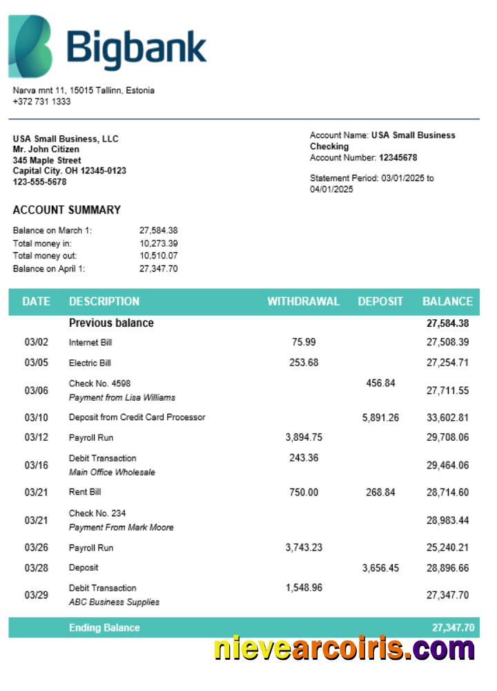 Editable Bigbank Firm Account Statement Word And PDF Template