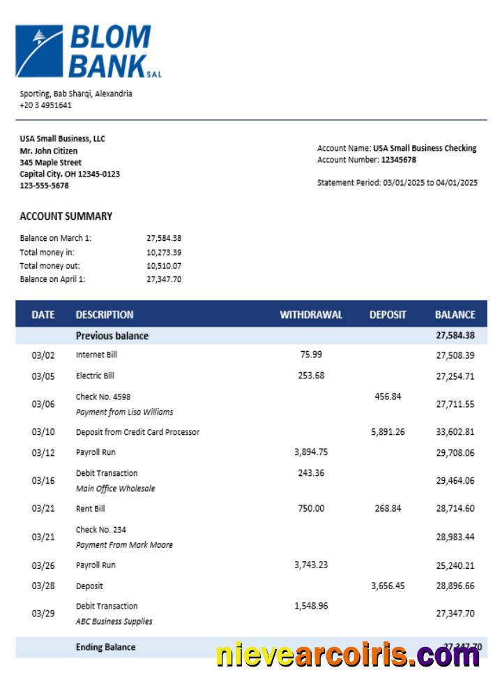 Realistic Blom Bank Of Egypt Enterprise Account Statement Word And PDF Template