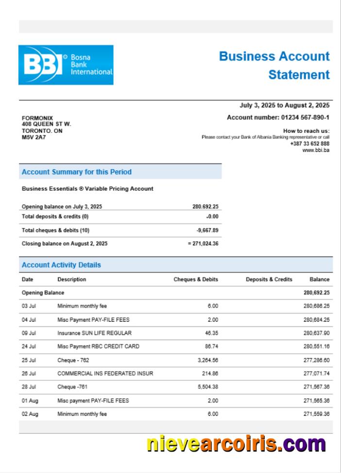 Bosna Bank Firm Account Statement Word And PDF Format Preview