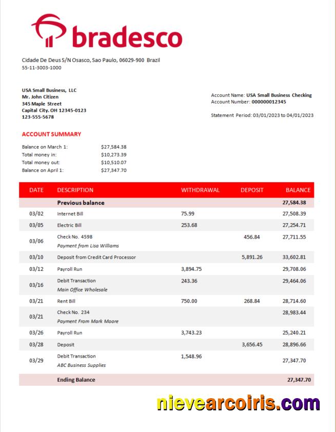 Premium Bradesco Bank Corporate Account Statement Word And PDF Template