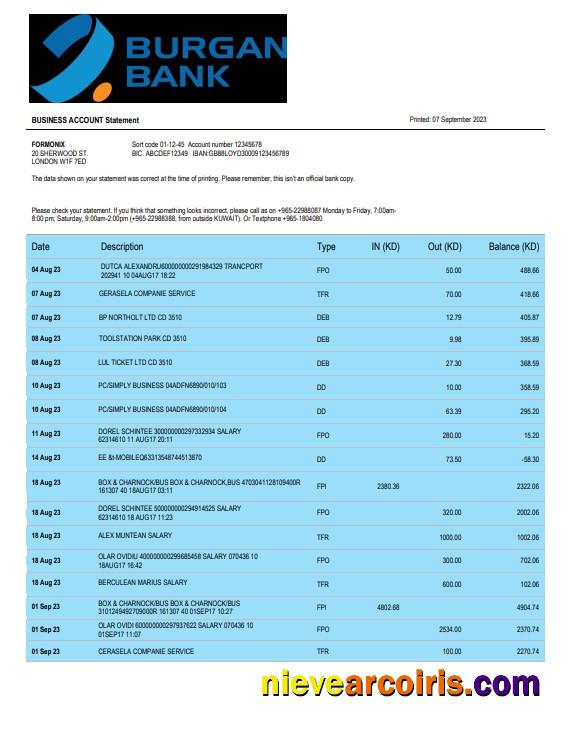 Editable Burgan Bank Enterprise Account Statement Word And PDF Template