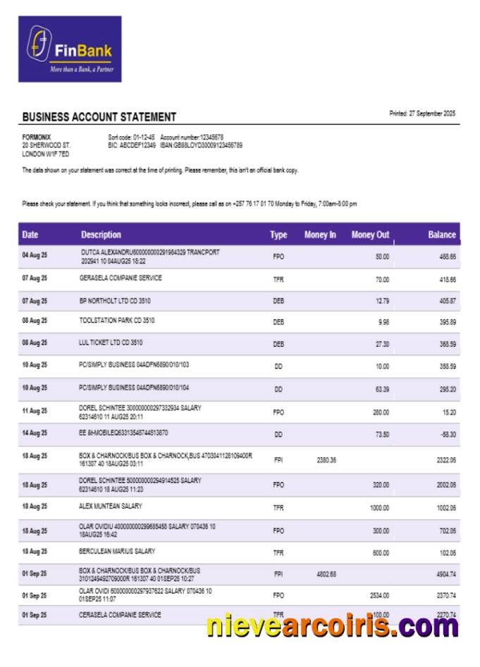 Burundian Finbank Business Firm Statement Word And PDF Format Sample