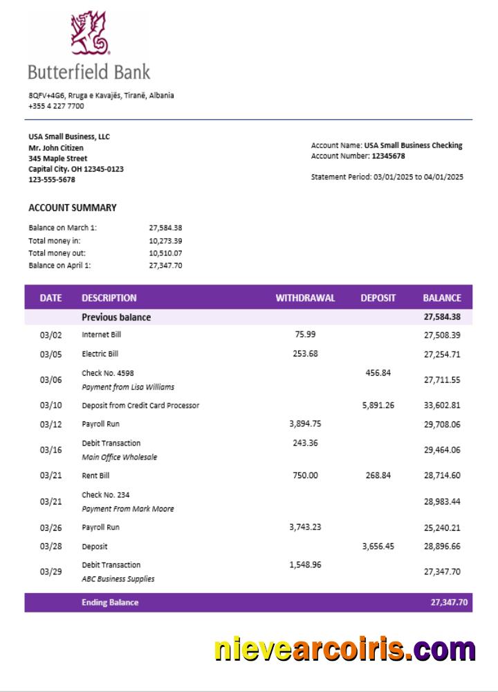 Butterfield Bank Organization Checking Account Statement Word And PDF Format Template