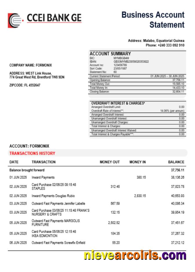CCEI Bank Business Company Account Statement Word And PDF Format Sample