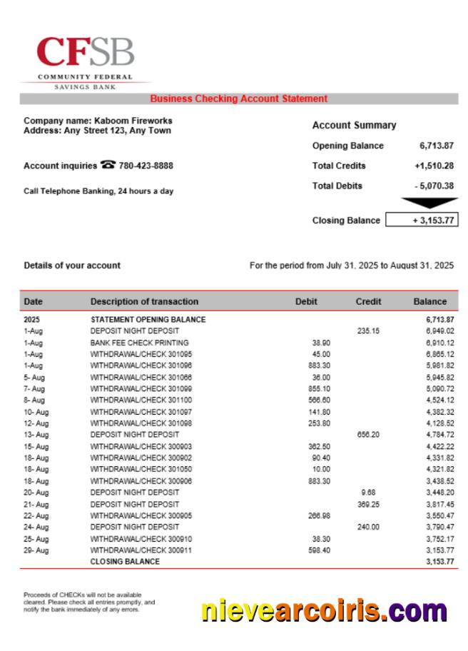 CFSB Business Firm Statement Word And PDF Format Preview