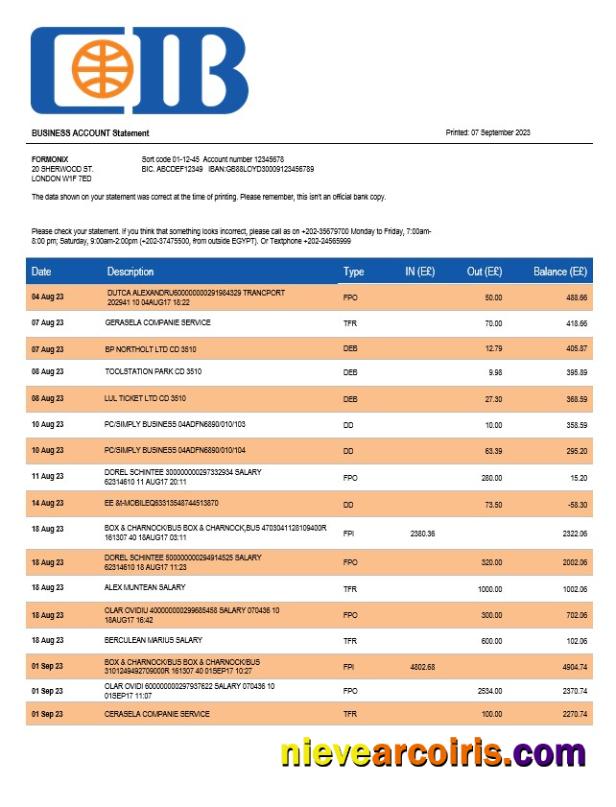 Professional CIB Bank Enterprise Account Statement Word And PDF Template