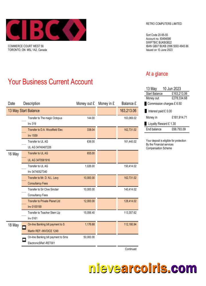 Premium CIBC Bank Company Checking Account Statement Word And PDF Template