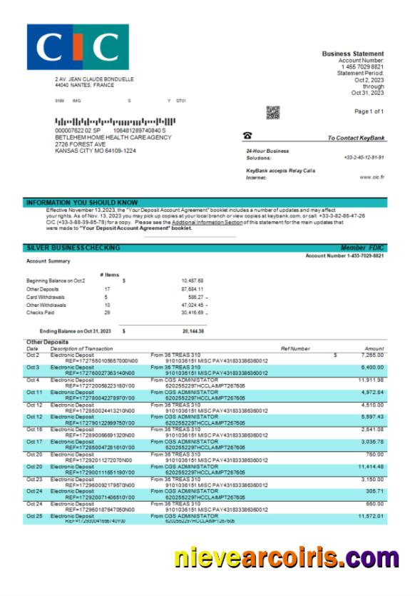 Realistic CIC Bank Enterprise Statement Word And PDF Template