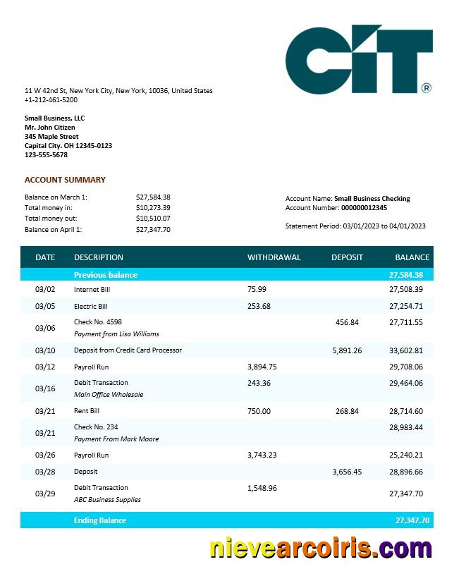 Editable CIT Bank Business Checking Account Statement Word And PDF Template