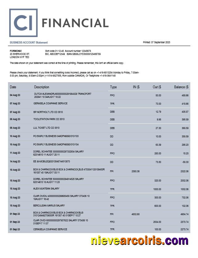 Professional CL Financial Bank Organization Account Statement Word And PDF Template
