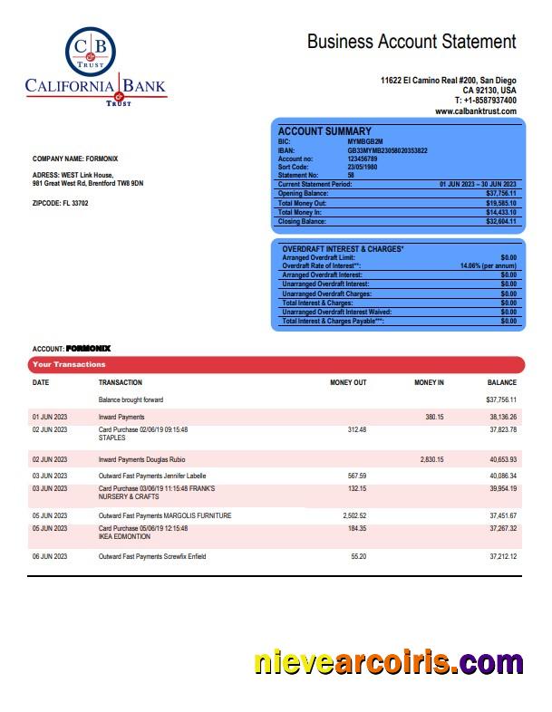 Professional California Bank & Trust Organization Checking Account Statement Word And PDF Template
