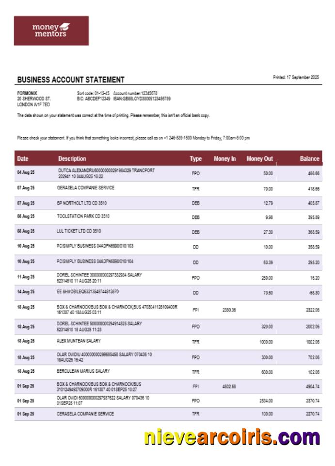 Canadian Money Mentors (MM) Business Organization Checking Statement Word And PDF Format Template