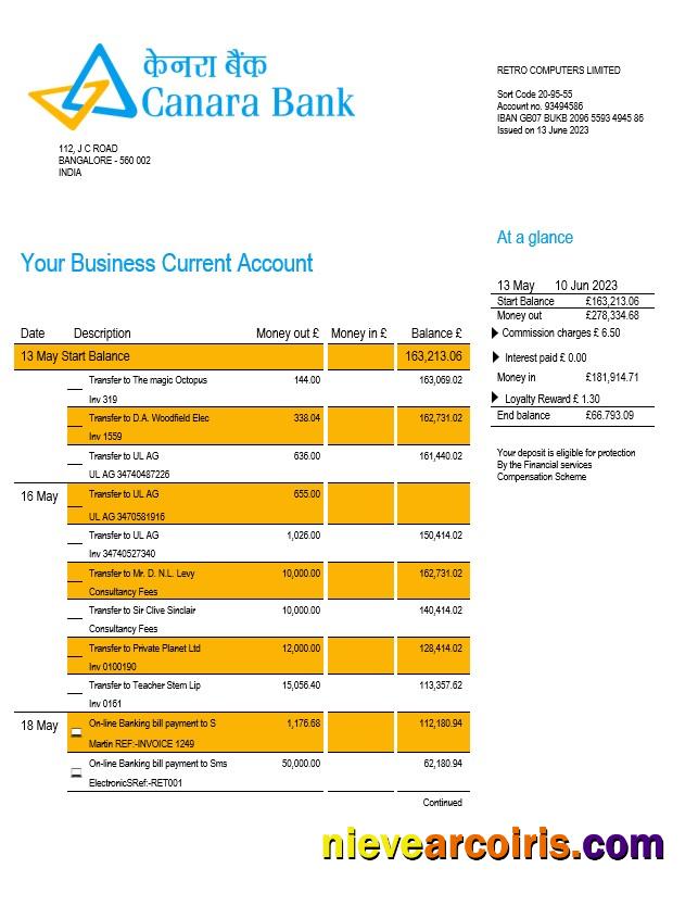 Premium Canara Bank Corporate Checking Account Statement Word And PDF Template