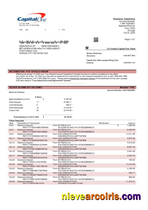 Capital One Bank Corporate Account Statement Word And PDF Preview