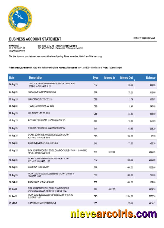 Professional Caribbean Development Bank Firm Account Statement Word And PDF Template