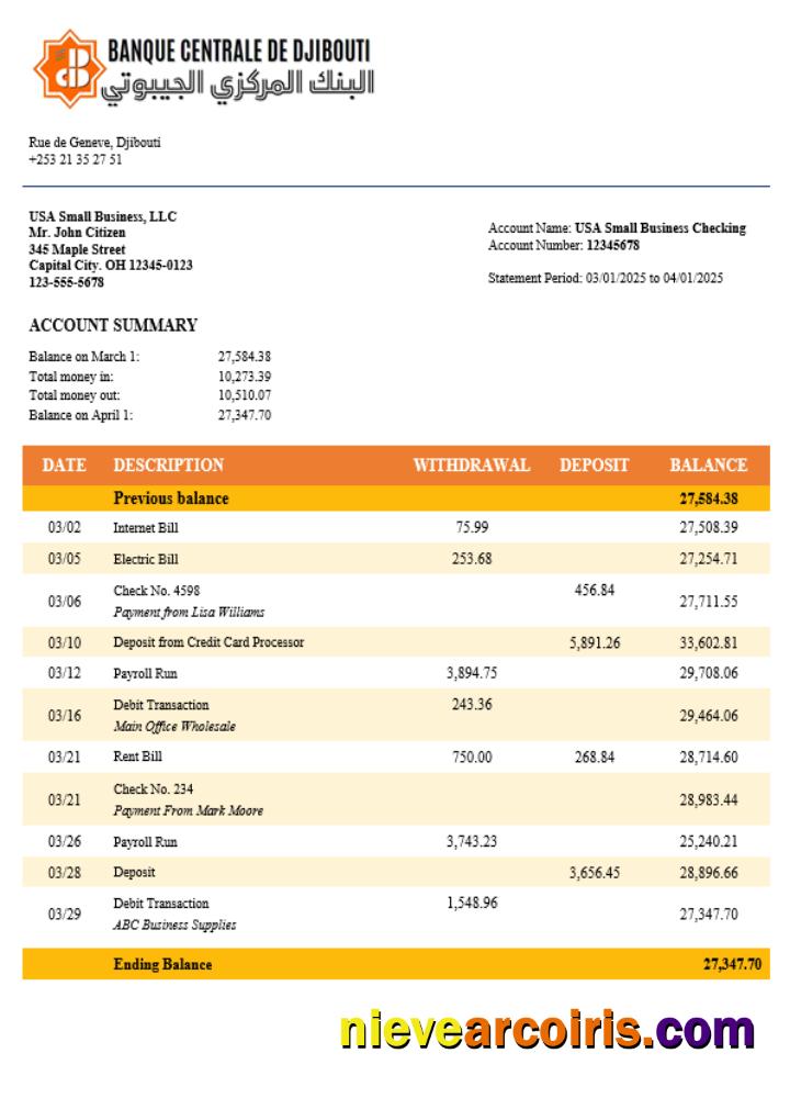 Realistic Central Bank Of Djiboutian Company Checking Account Statement Word And PDF Template