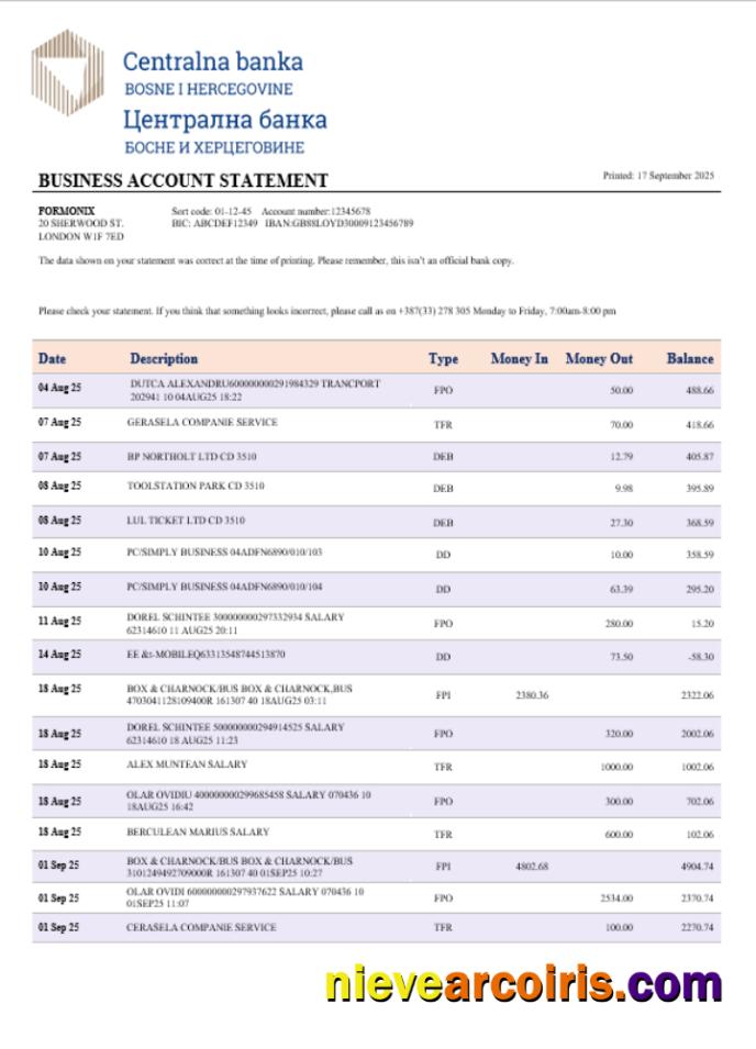 Central Business Bank Statement Word And PDF Format Sample