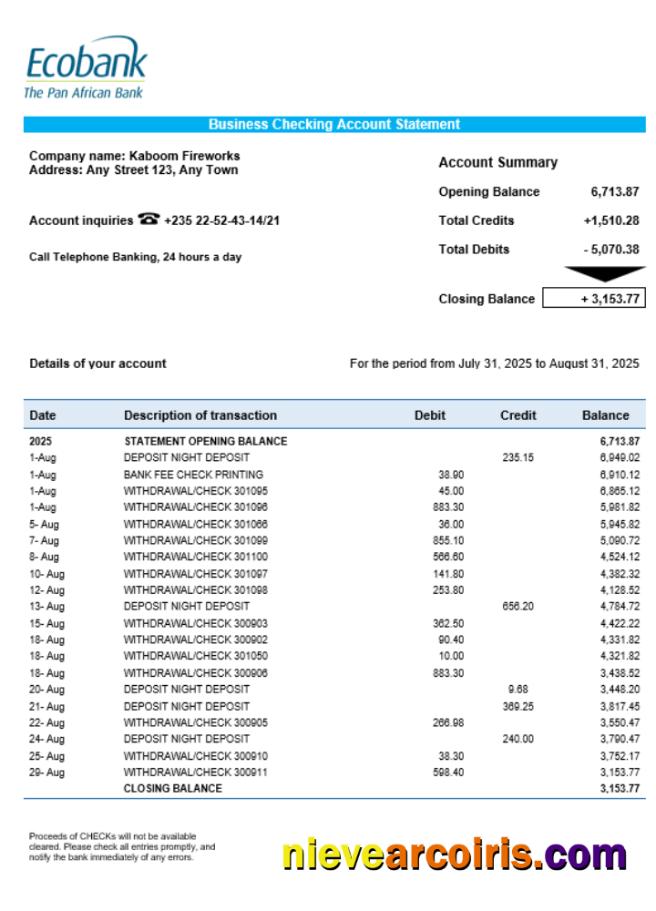 Premium Chad Ecobank Organization Checking Account Statement Word And PDF Template