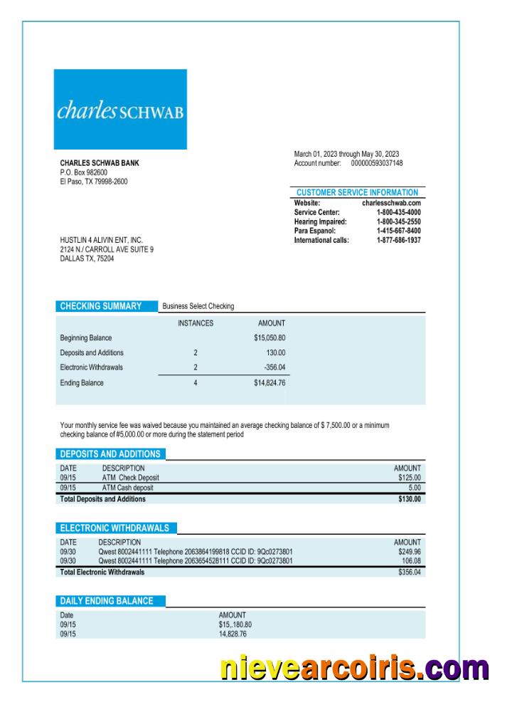 Premium Charles Schwab Business Bank Statement Word And PDF Template