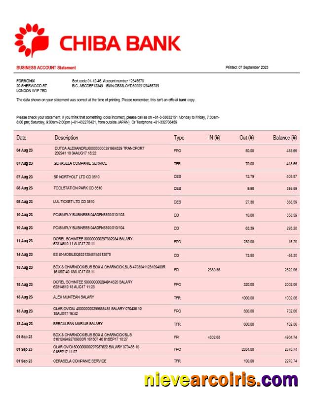 Realistic Chiba Bank Company Checking Account Statement Word And PDF Template