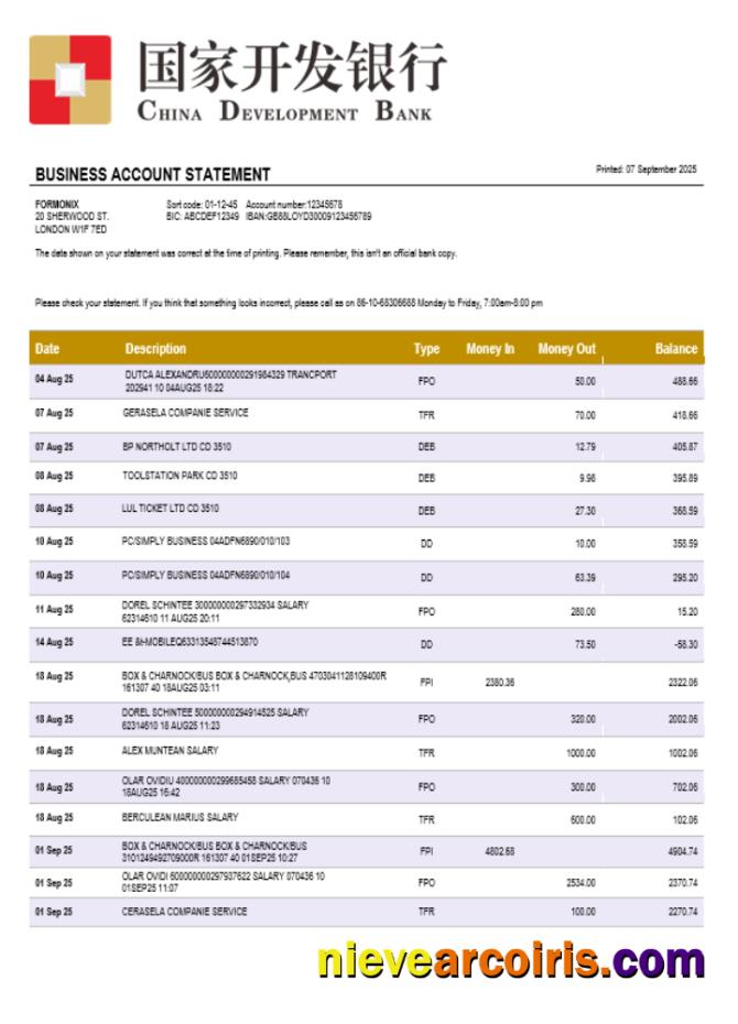 Chinese Development Bank Account Business Statement Word And PDF Format Template