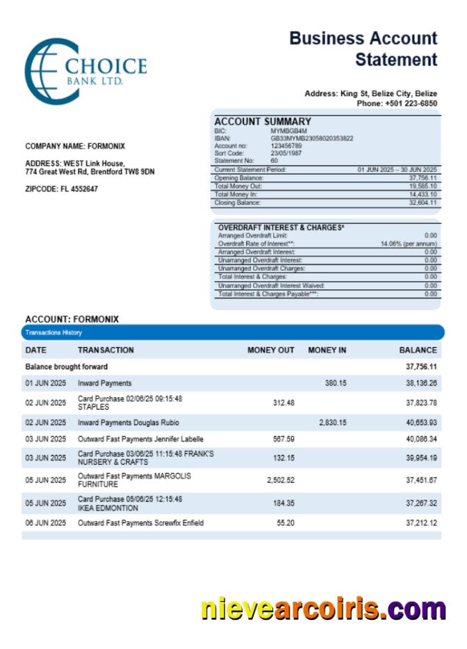 Choice Bank Business Firm Statement Word And PDF Format Preview