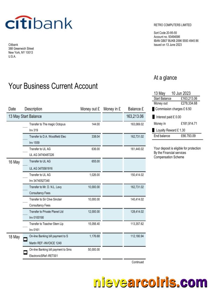 Premium Citibank Bank Business Account Statement Word And PDF Template