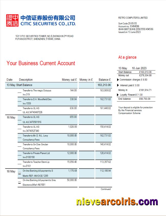 Premium Citic Securities Bank Firm Account Statement Word And PDF Template